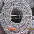 Galvanized Barbed Wire in 1.6mm to 2.7mm for Security Fence